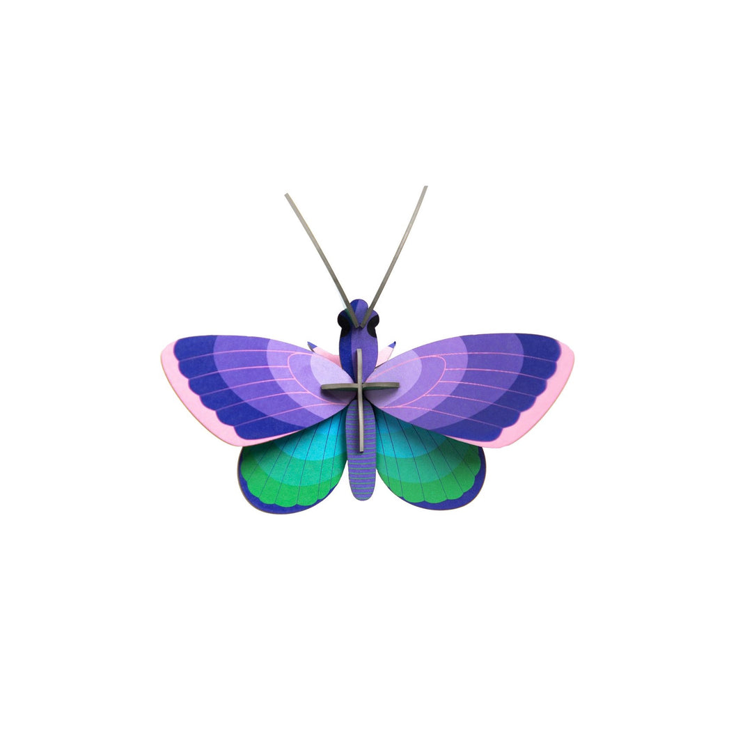 Papillon Cuivre Bleu