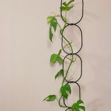 Afbeelding in Gallery-weergave laden, Climbing plant support- black
