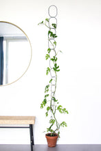 Afbeelding in Gallery-weergave laden, Climbing plant support- black
