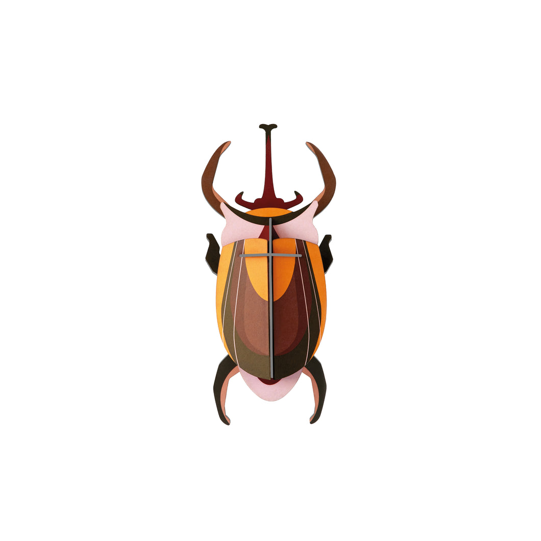 Elephant Beetle